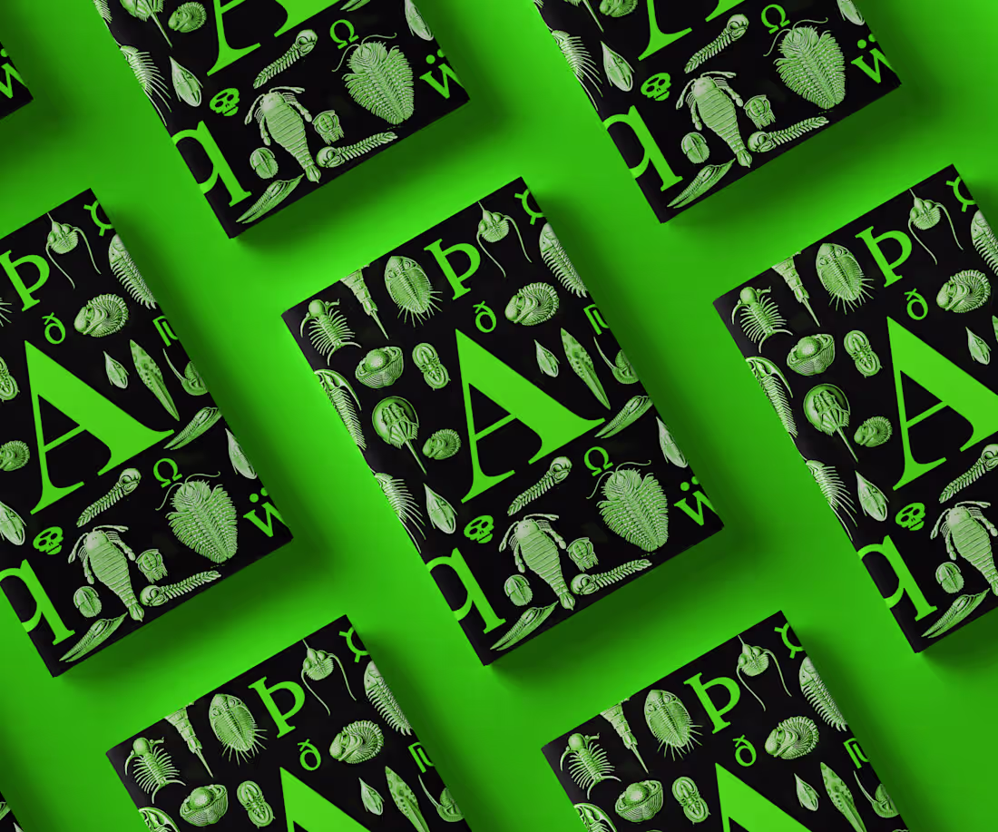 Cover image for ABC Arizona Type Specimen