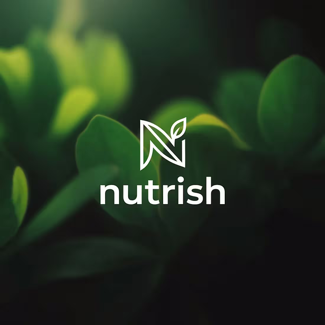 Cover image for @astraqt on Ideogram