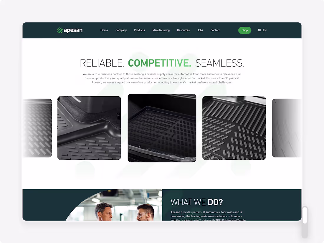 Cover image for Apesan.co Website + Framer Development