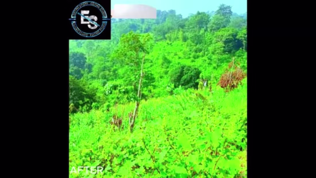 Cover image for I will do high quality video editing