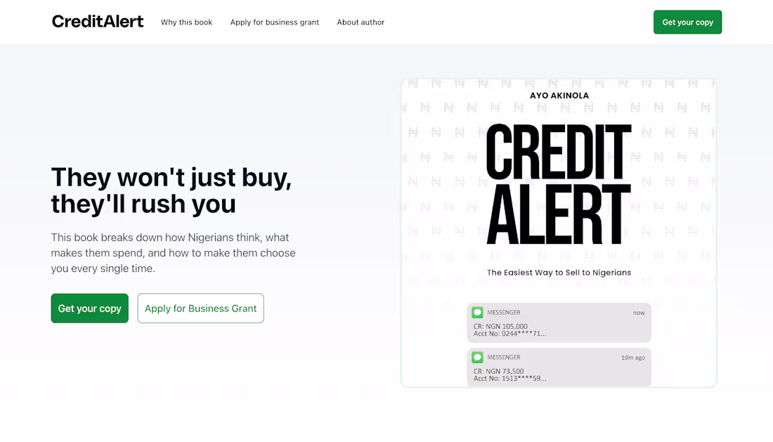 Cover image for High-converting book landing page teaching Nigerian entrepre...