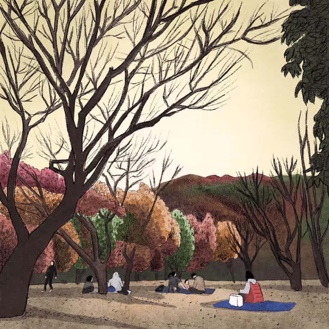 Cover image for Nature scenery autumn