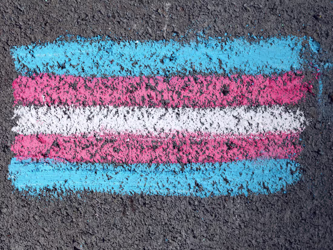 Cover image for Gender/Transgender Talking Points