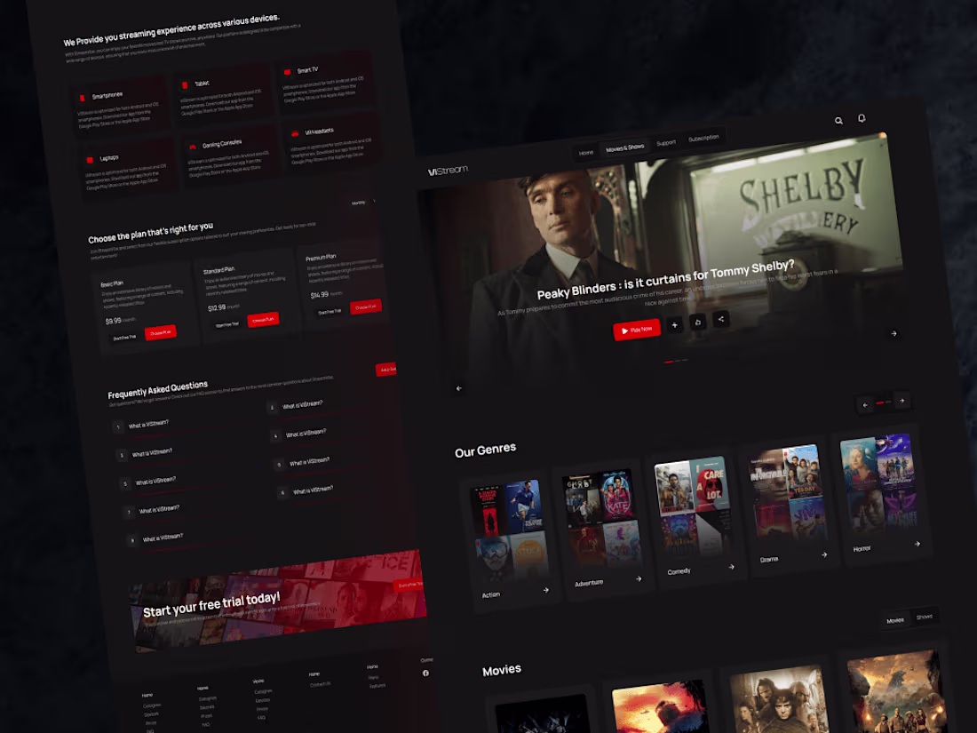 Cover image for VISTREAM