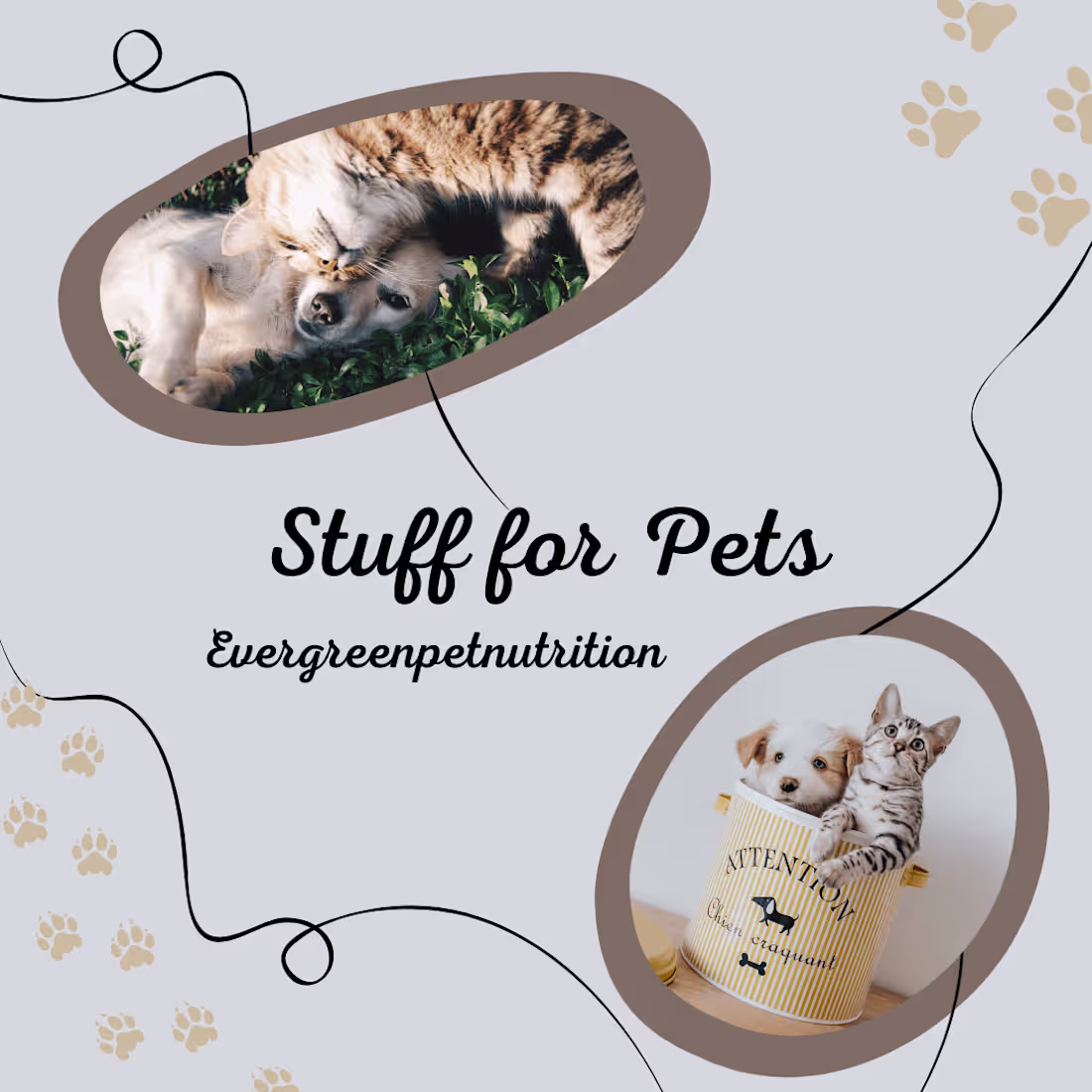 Cover image for EVERGREEN PET NUTRITION