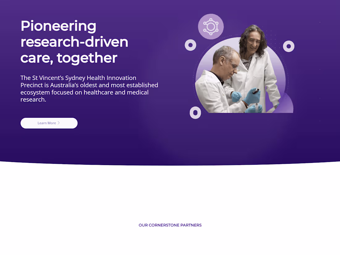 Cover image for Development a Website for Renowned Hospital St. Vincent