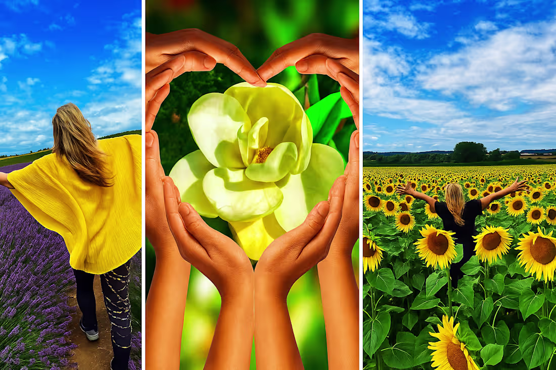 Cover image for "Everyday Beauty, Eternal Grace"