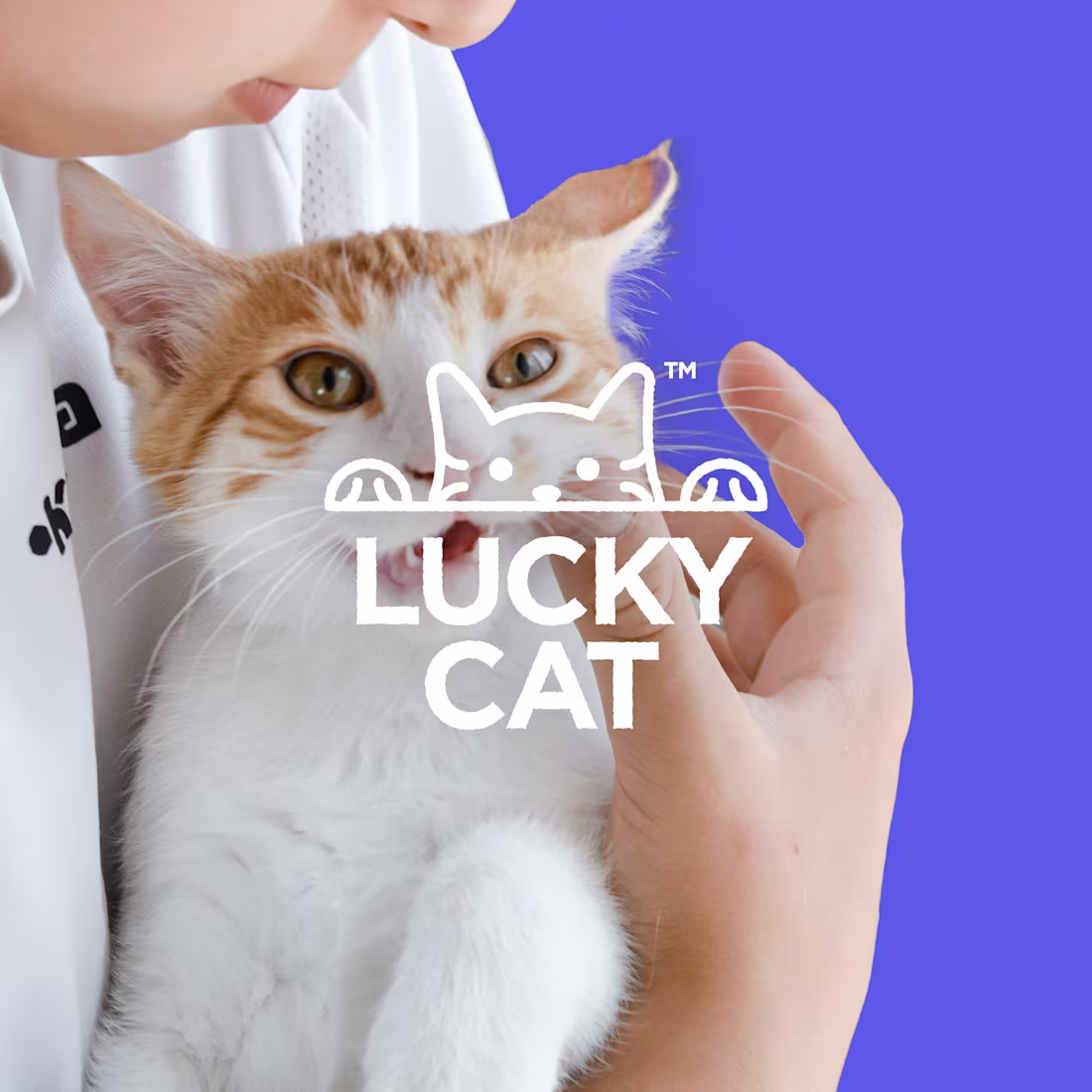 Cover image for Lucky Cat 😻🐟