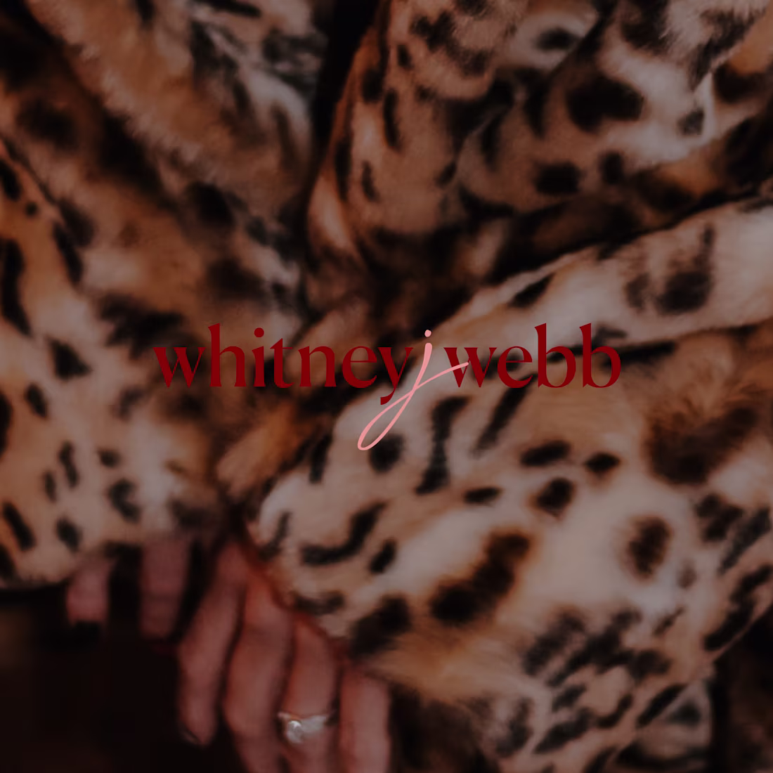 Cover image for Whitney J Webb