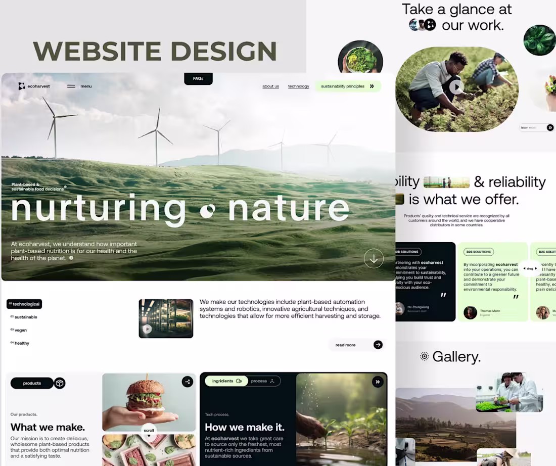 Cover image for Website Design