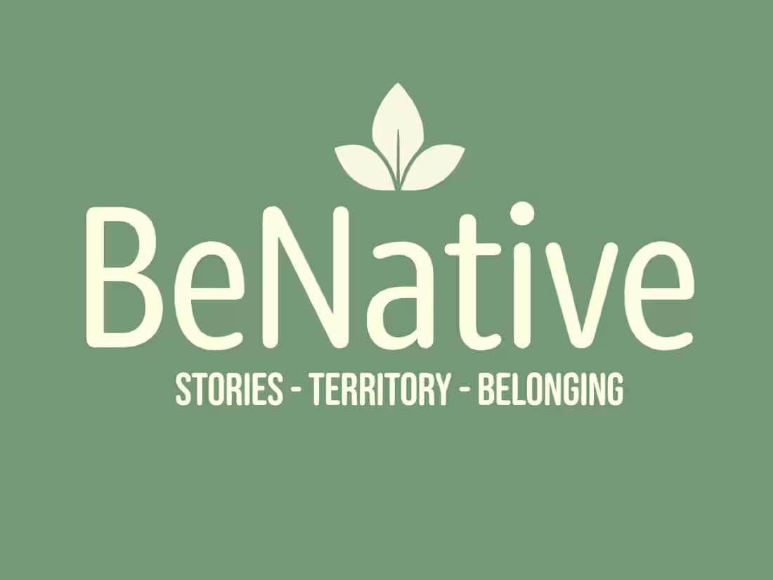 Cover image for BeNative: Presentation Video