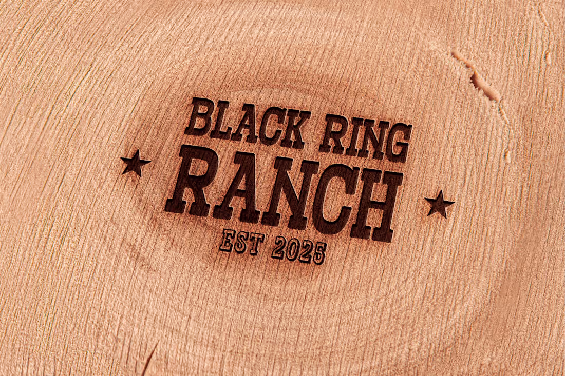 Cover image for Western-inspired Horse Ranch Logo