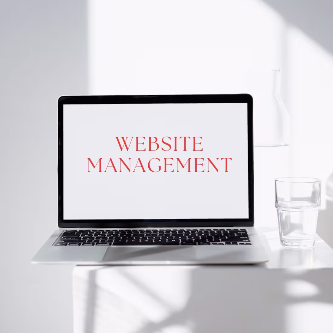 Cover image for Website Management 