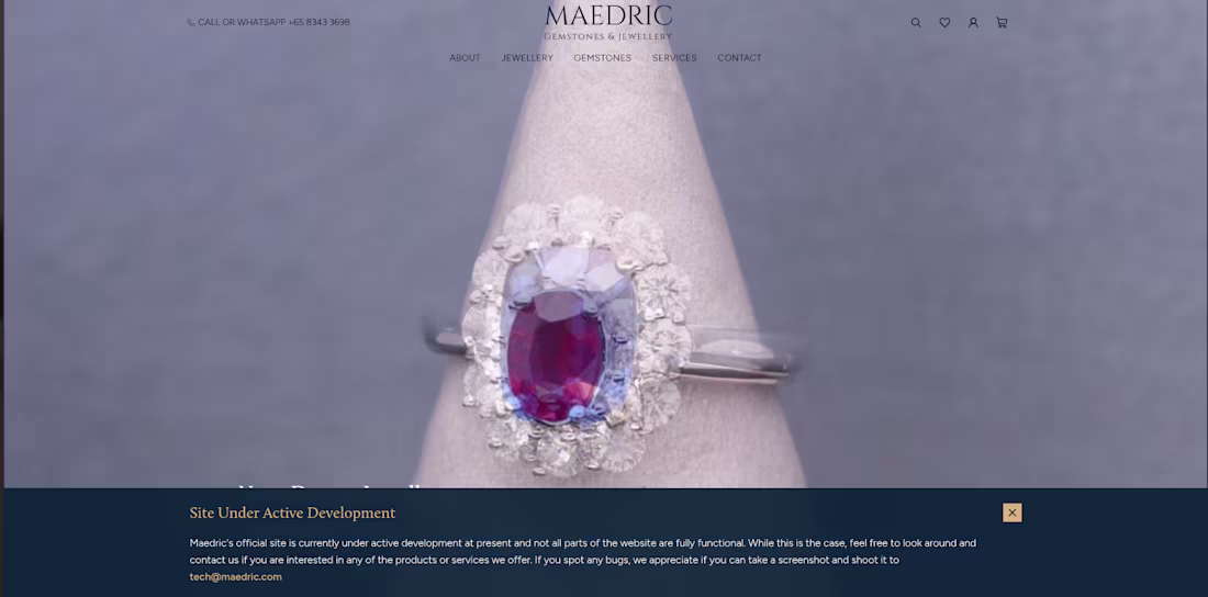 Cover image for Maedric is a Singapore-based jewellery