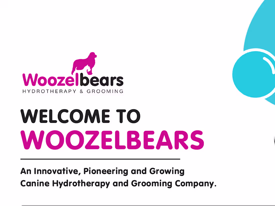 Cover image for Woozelbears