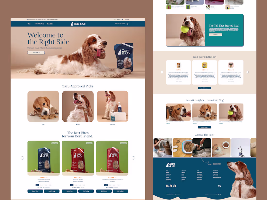 Cover image for Worked on this UI/UX for Zazu & Co. The goal was clarity and...
