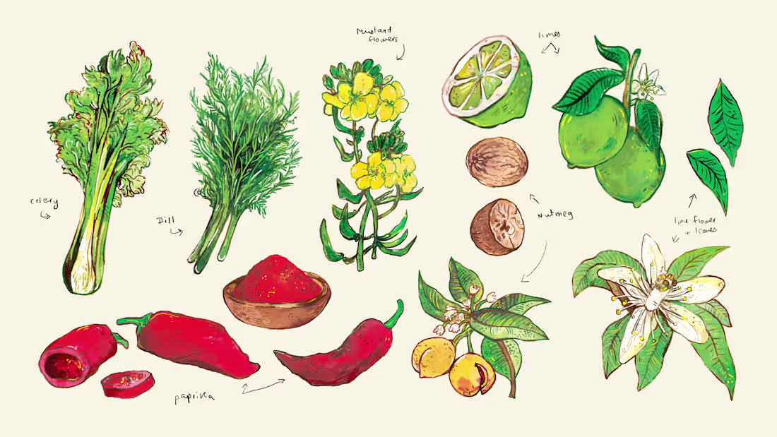 Cover image for Illustrations for Diva Casa
