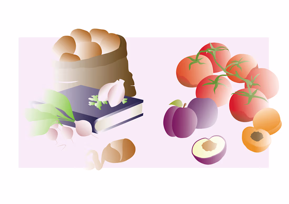 Cover image for Summer's memories