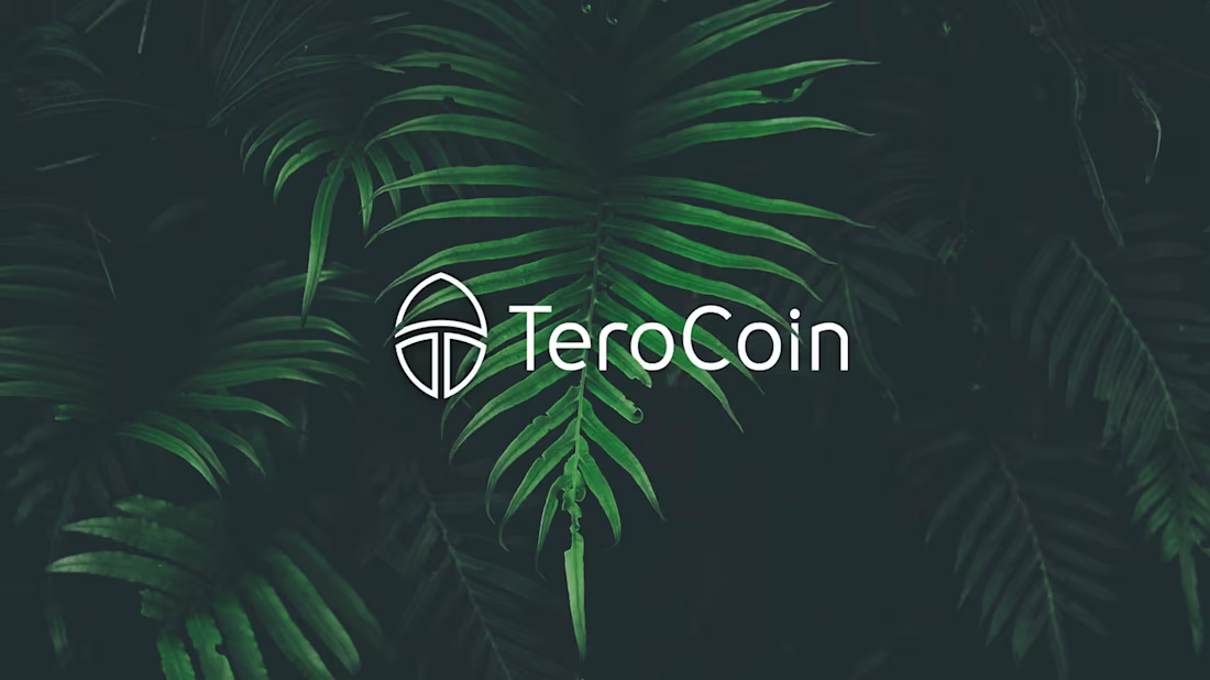 Cover image for TeroCoin