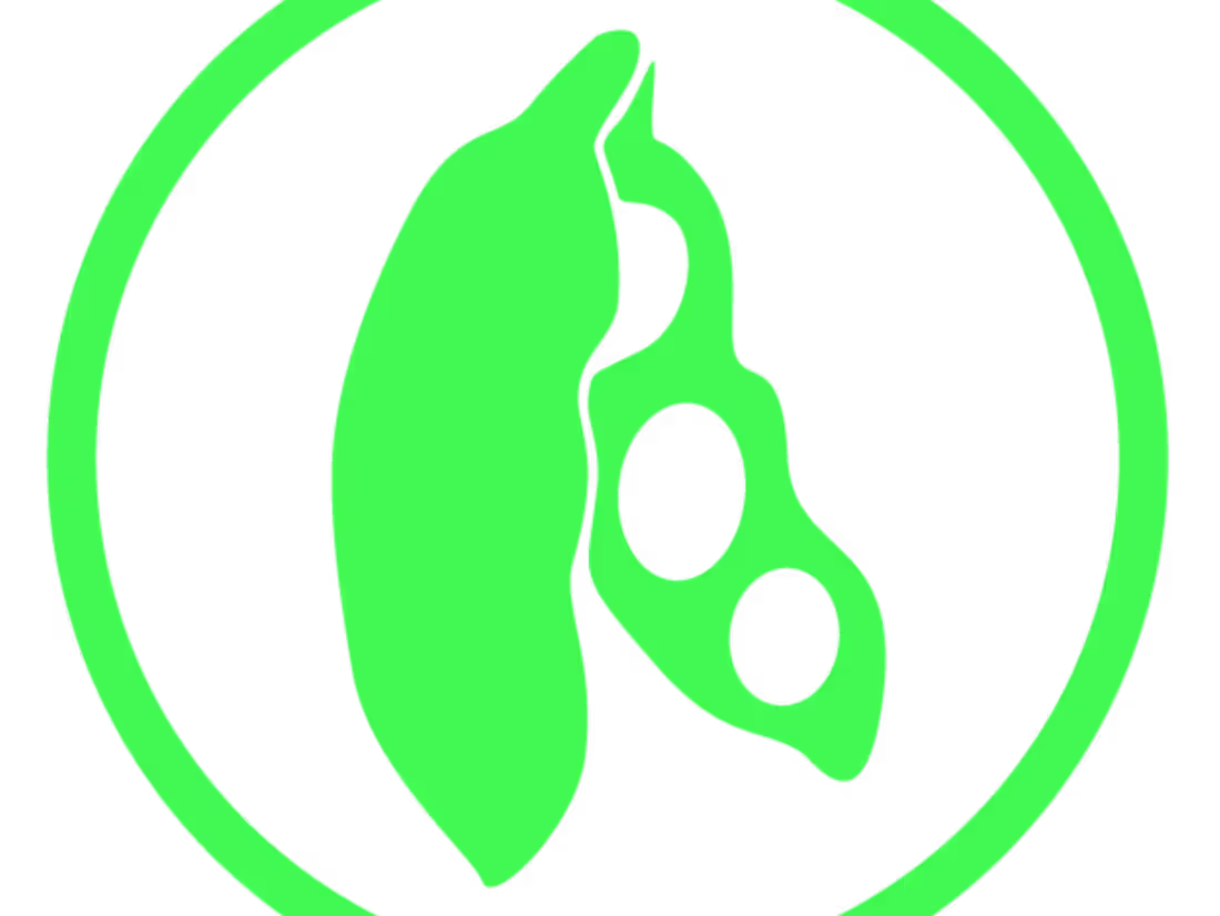 Cover image for Mais Soja | My company