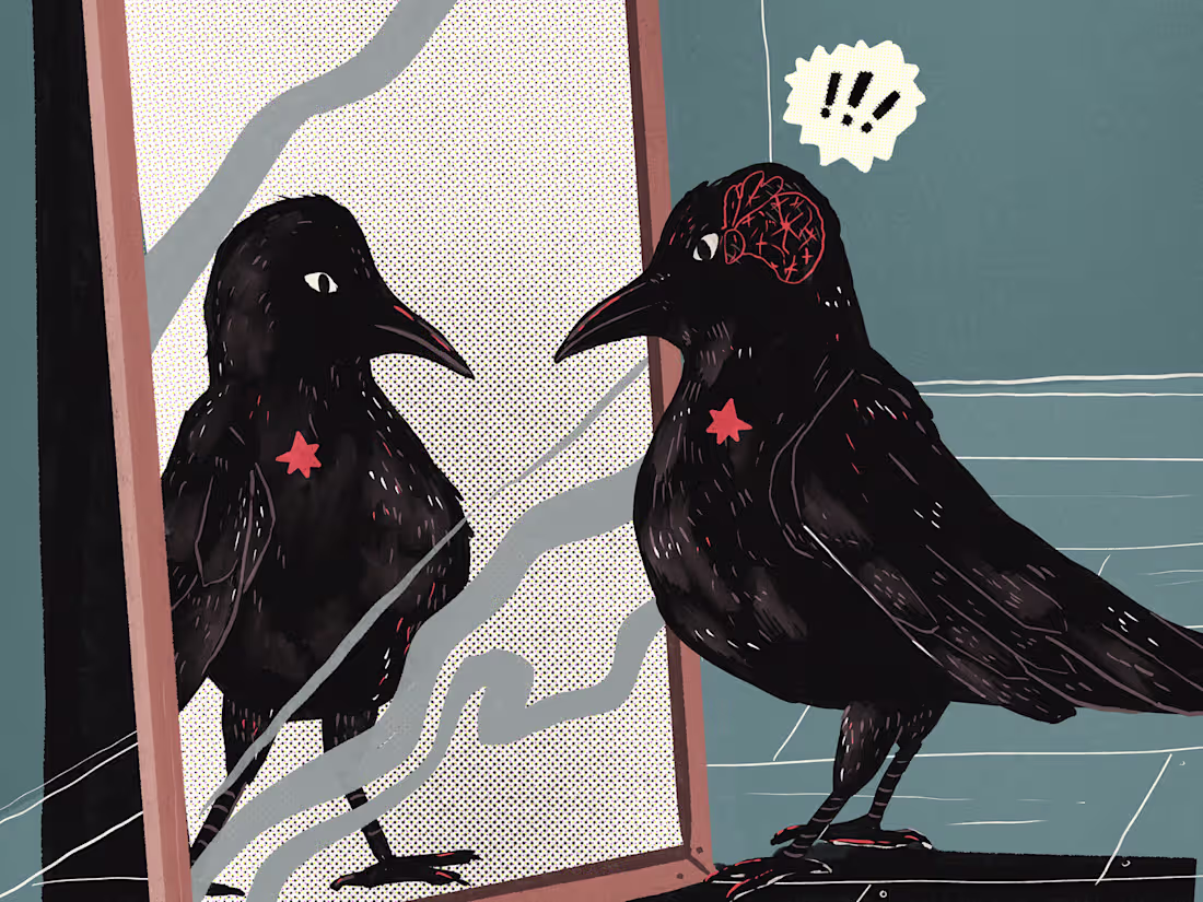 Cover image for Illustration (Editorial, social media, brands)