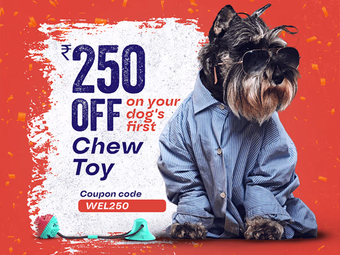 Cover image for Graphic design