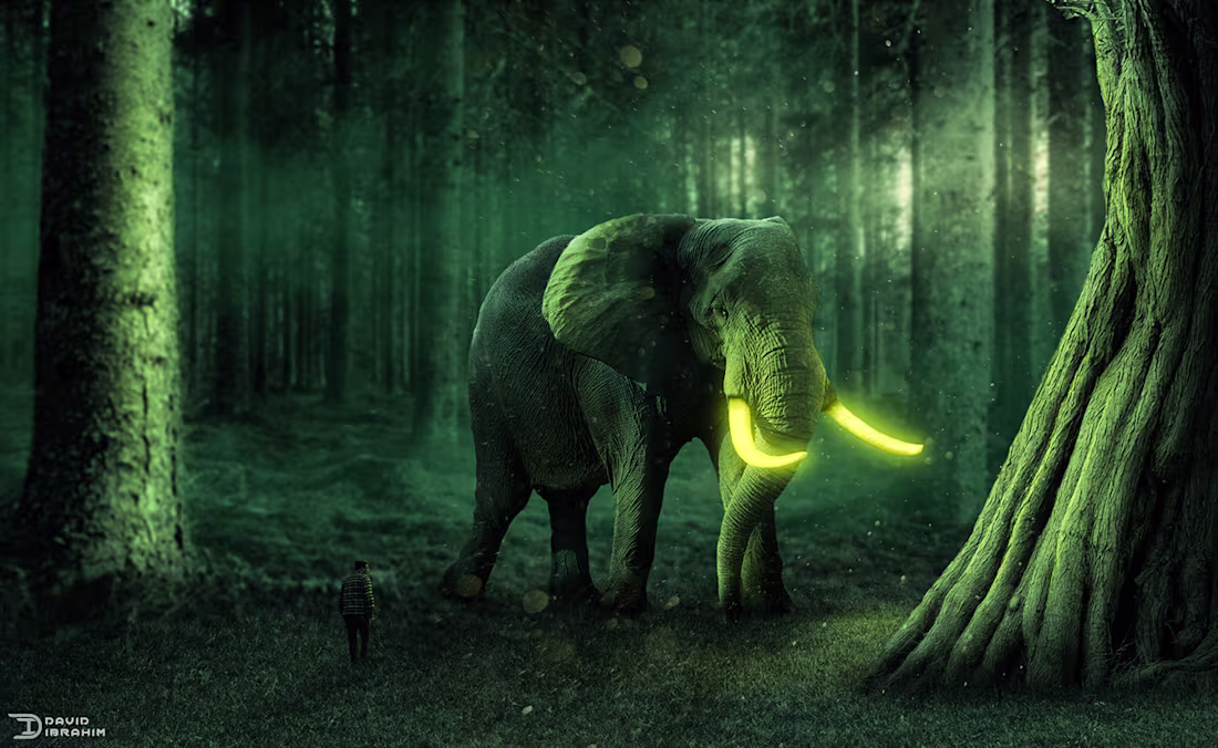 Cover image for Magic Elephant