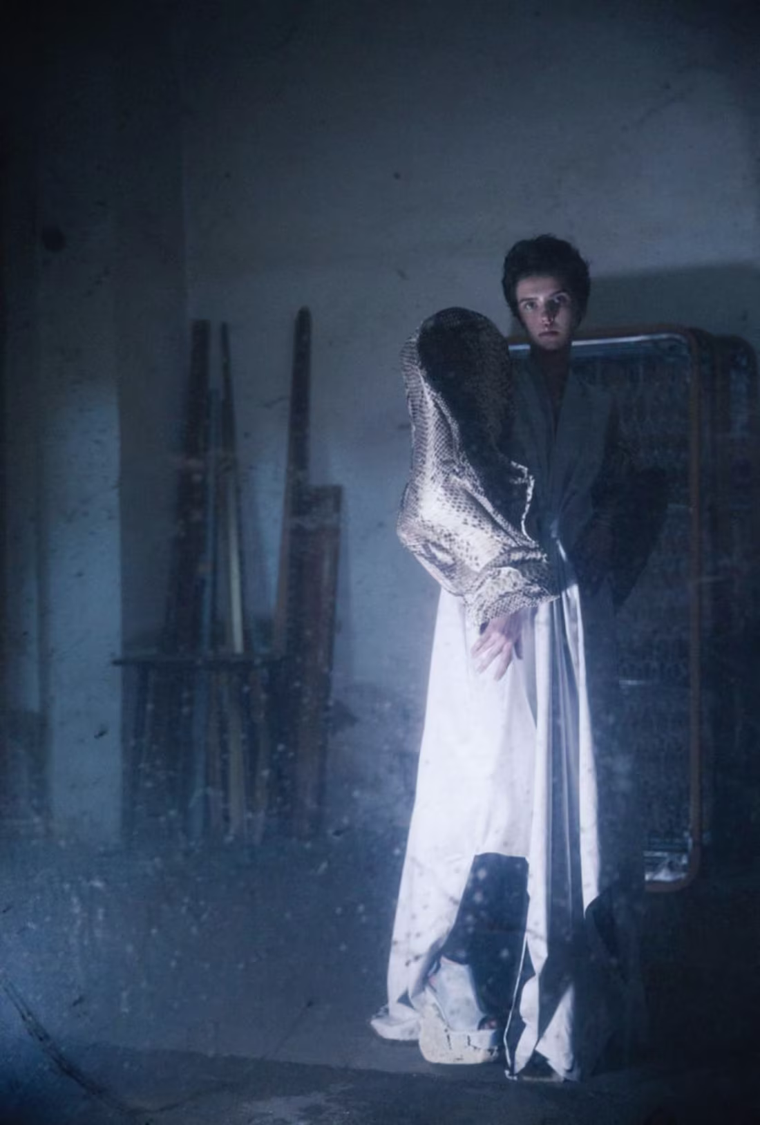 Cover image for I was rereading F. L.