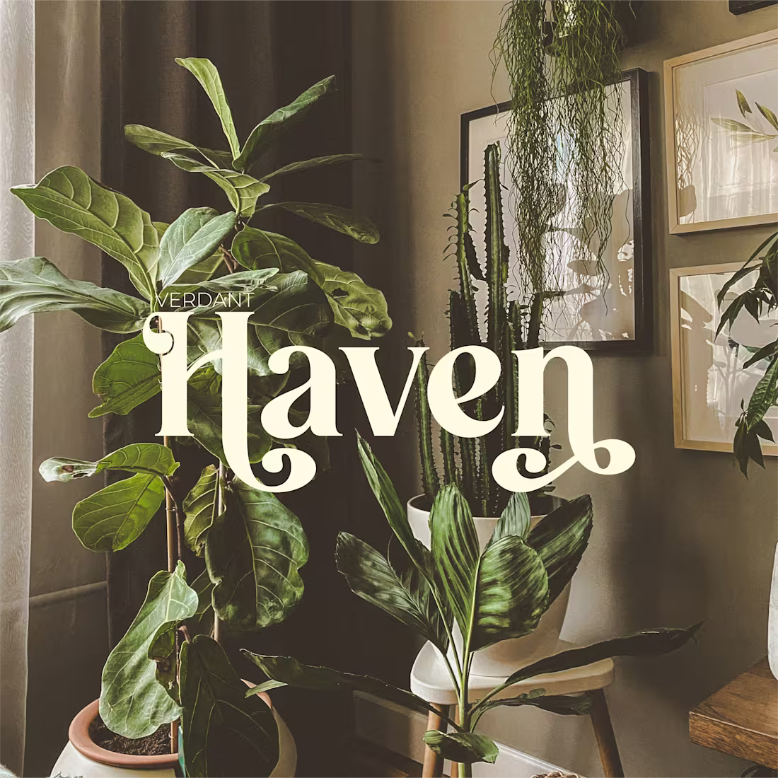 Cover image for Verdant Haven