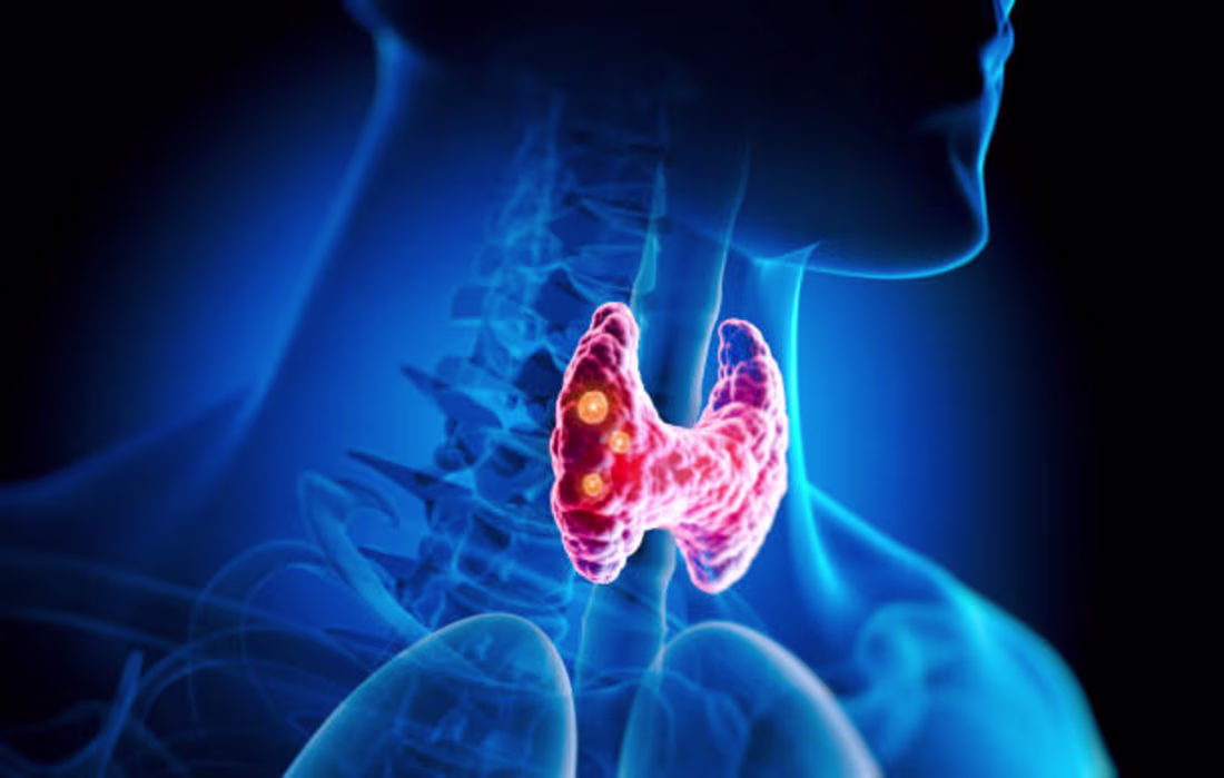 Cover image for Navigating Thyroid Health: Understanding, Managing, and Thriving