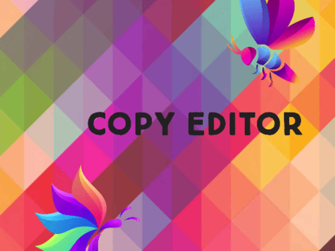 Cover image for Writter 