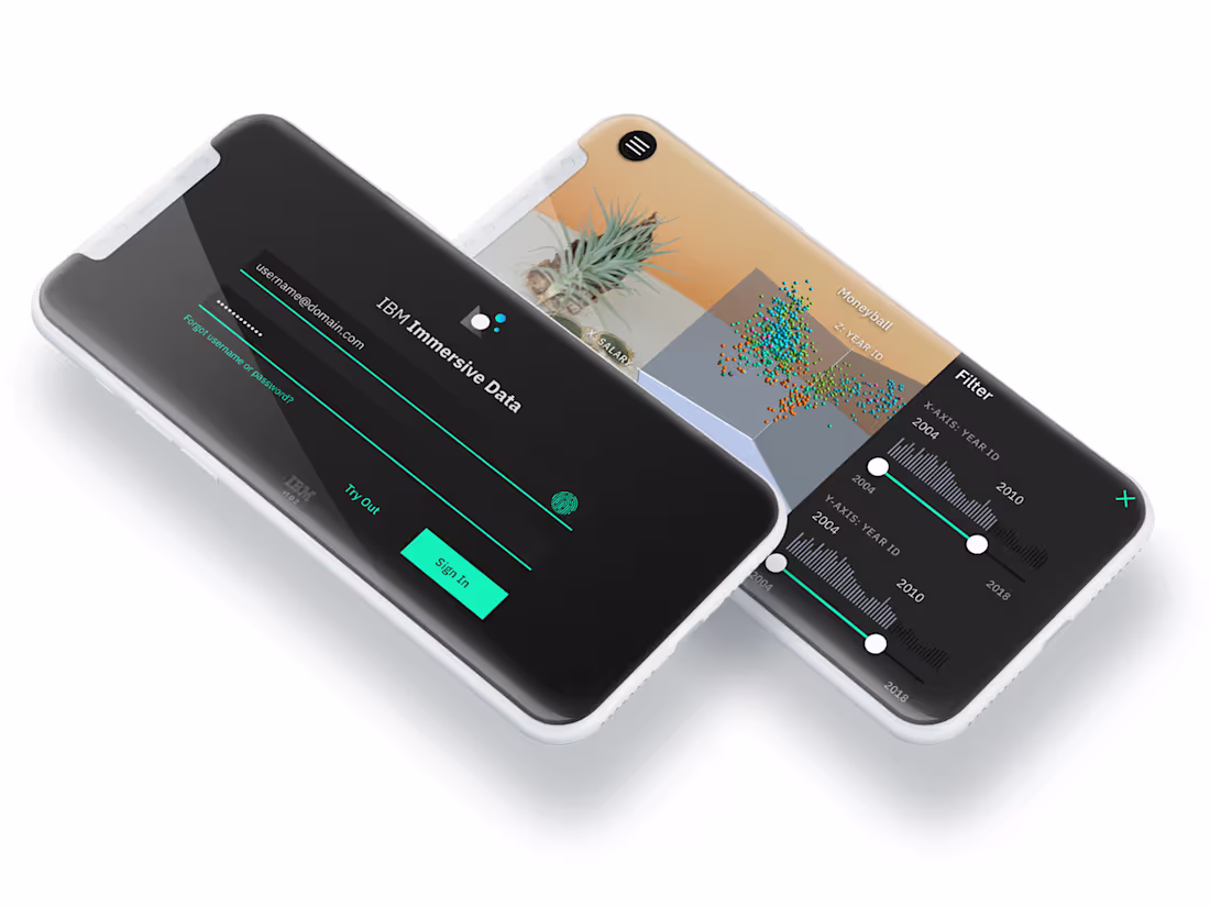 Cover image for IBM Immersive Data