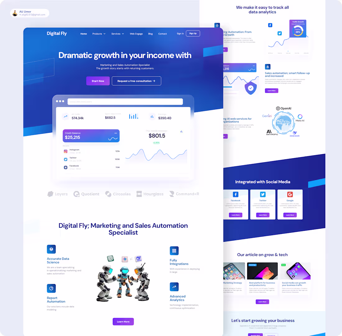 Cover image for Project Showcase: Digital Fly Branding