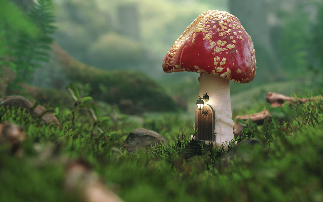 Cover image for Zvamp