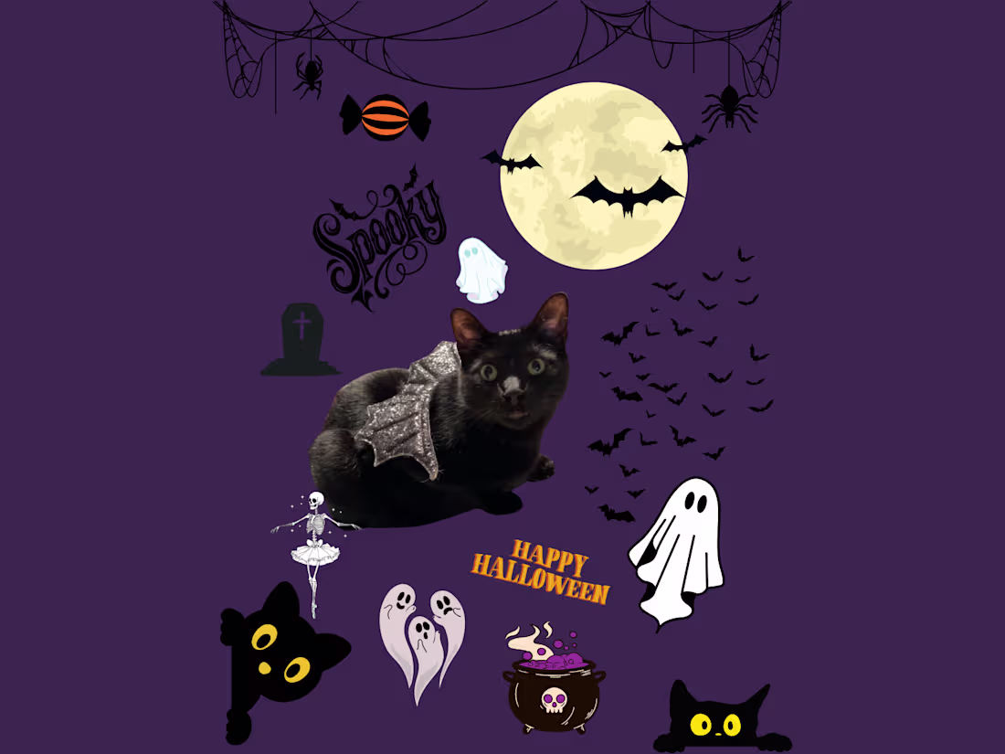 Cover image for Pets + Absurdity = Art. Let me collage your little weirdo.