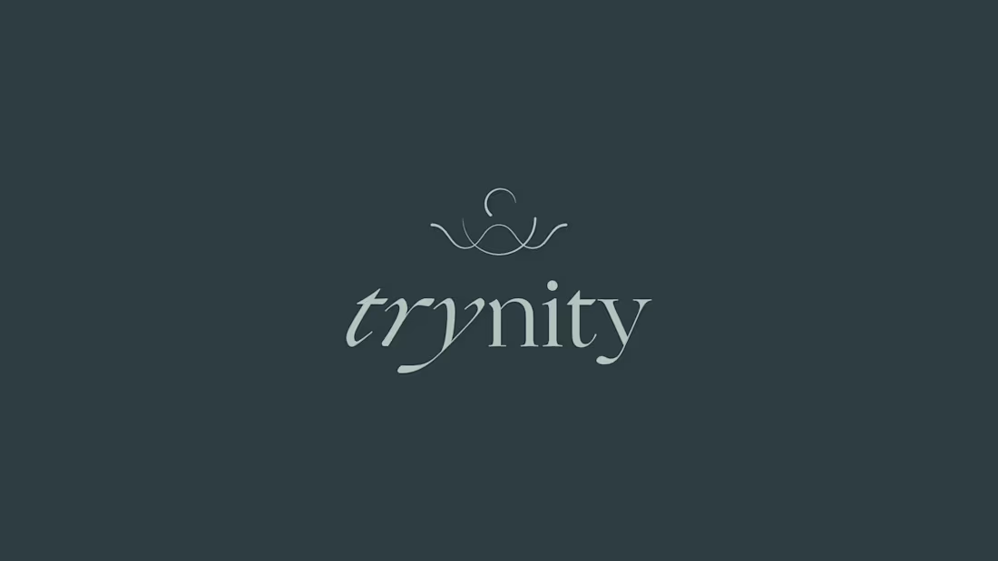 Cover image for Trynity