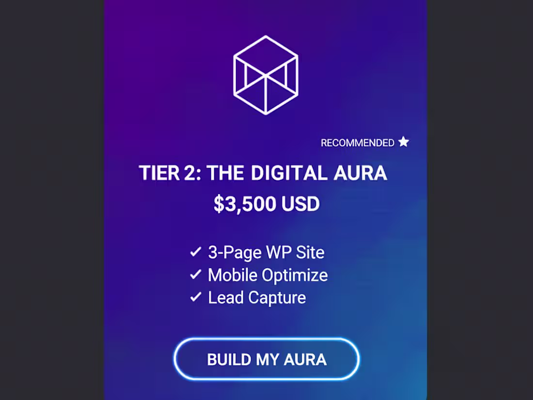 Cover image for The Digital Aura