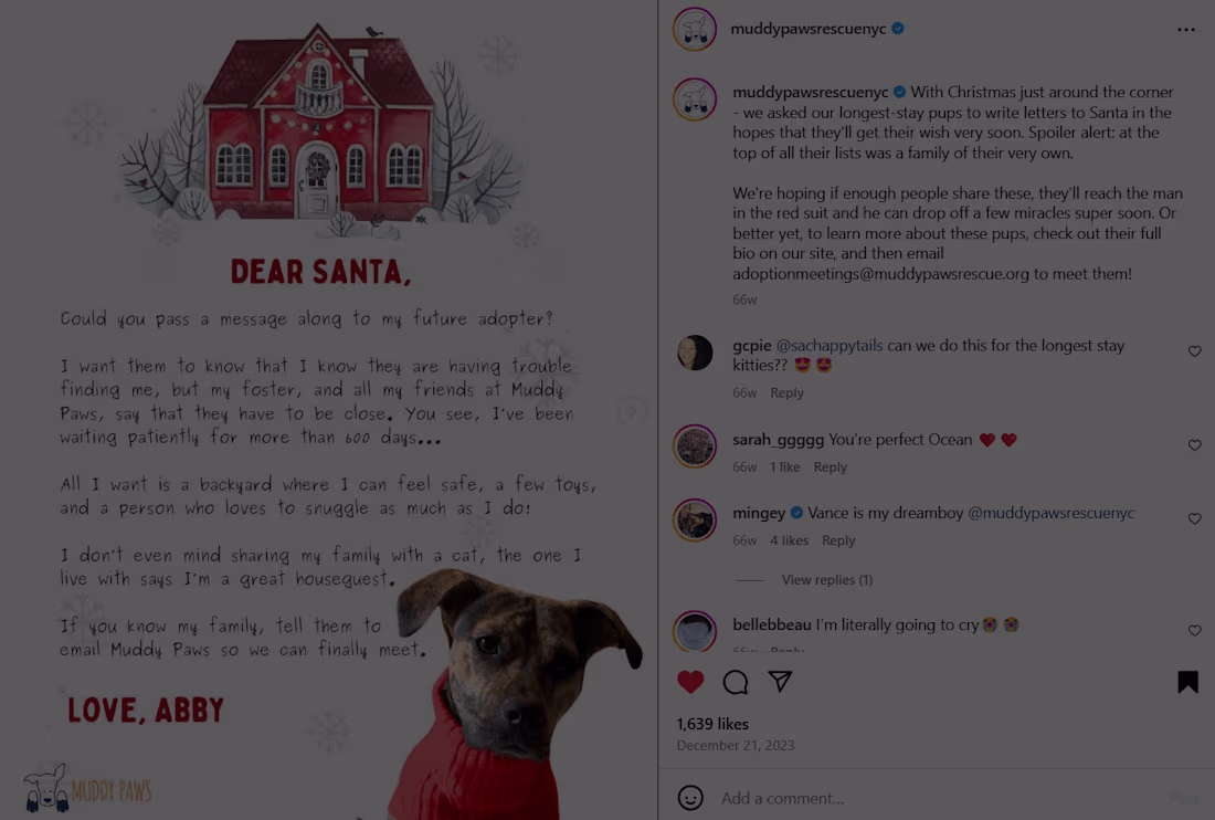 Cover image for Content & Social - Muddy Paws Rescue