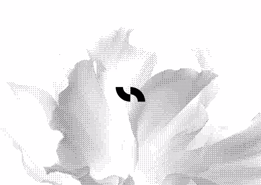 Cover image for Branding for hex.co