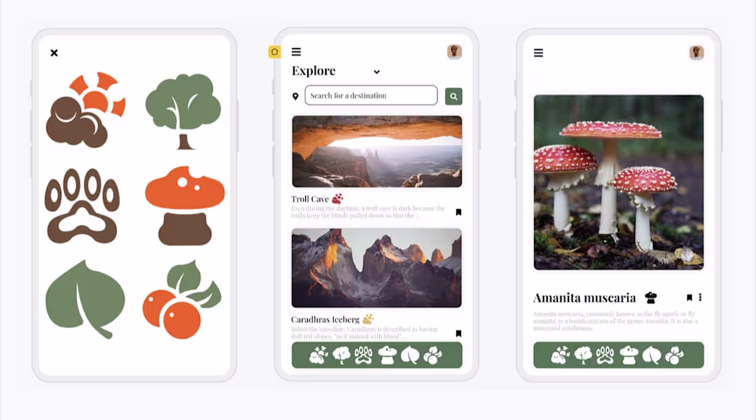 Cover image for Informational travel app