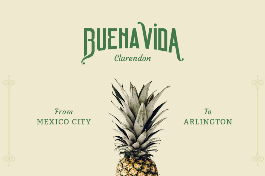 Cover image for Buena Vida Website Design