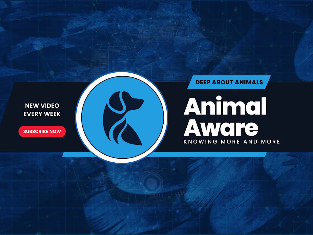 Cover image for Change Your Life in 6 Months (My 5-Step Process) - YouTube