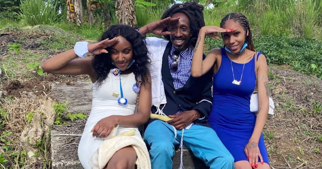 Cover image for Fly-Rolla