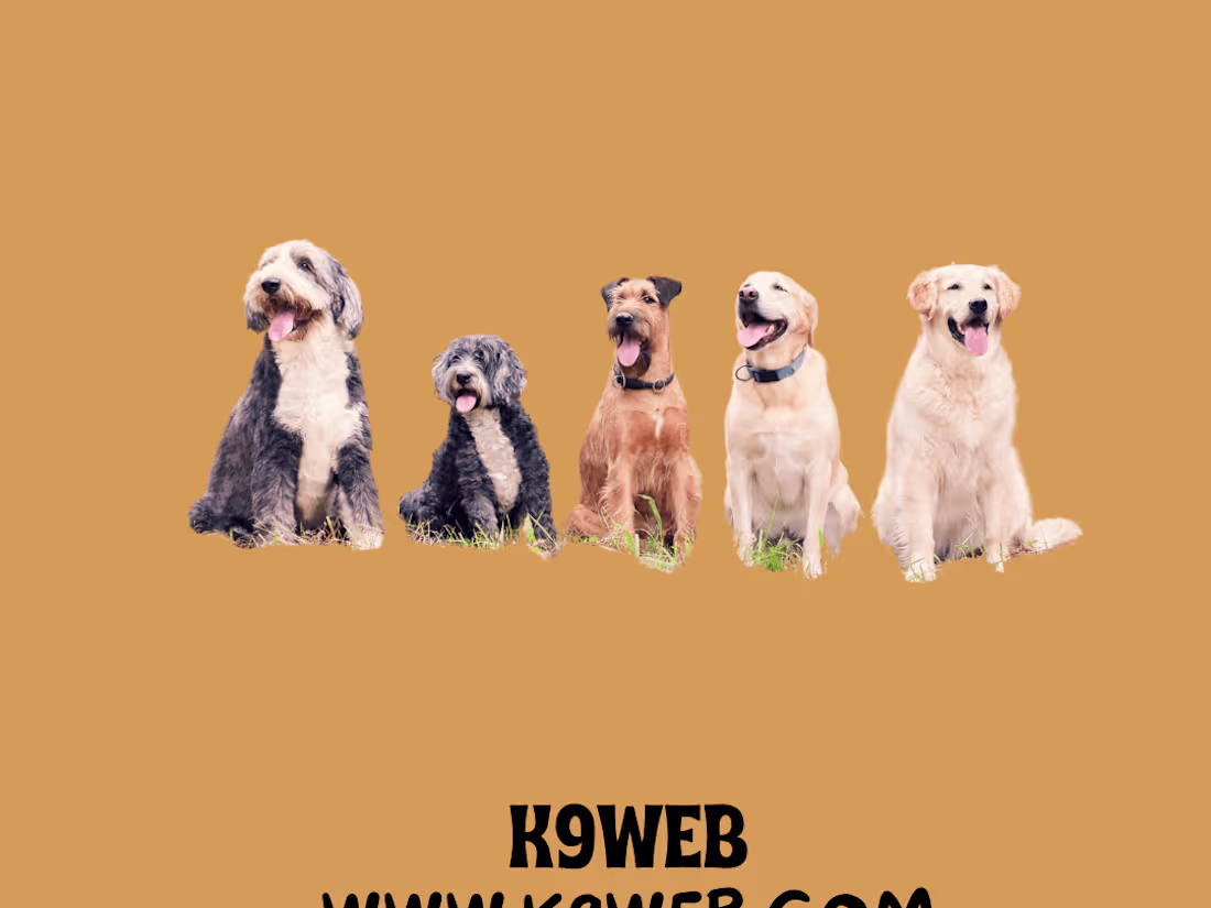 Cover image for SEO Blog Writer for K9Web (Pet Website Over 800,000 viewers)