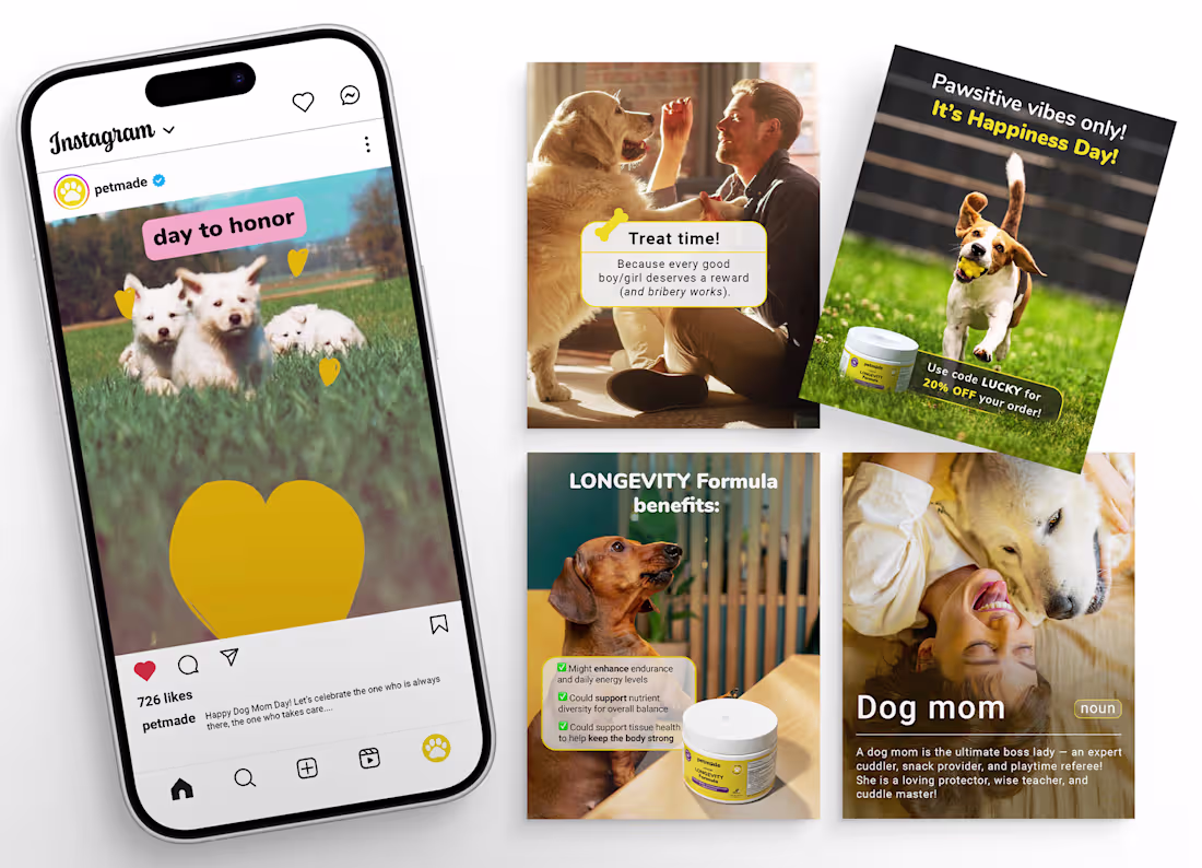 Cover image for Organic Social