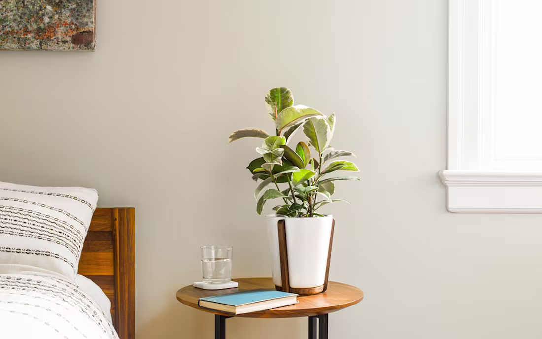 Cover image for Base Planter