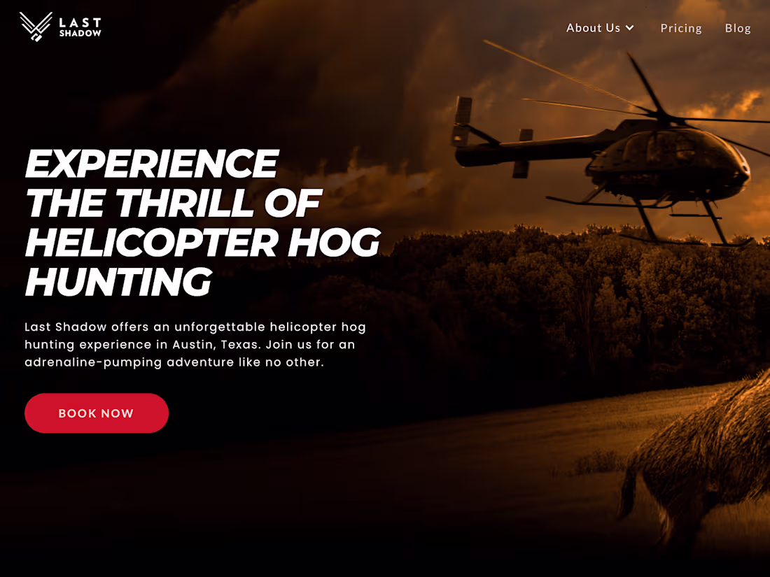 Cover image for Website for Last Shadow