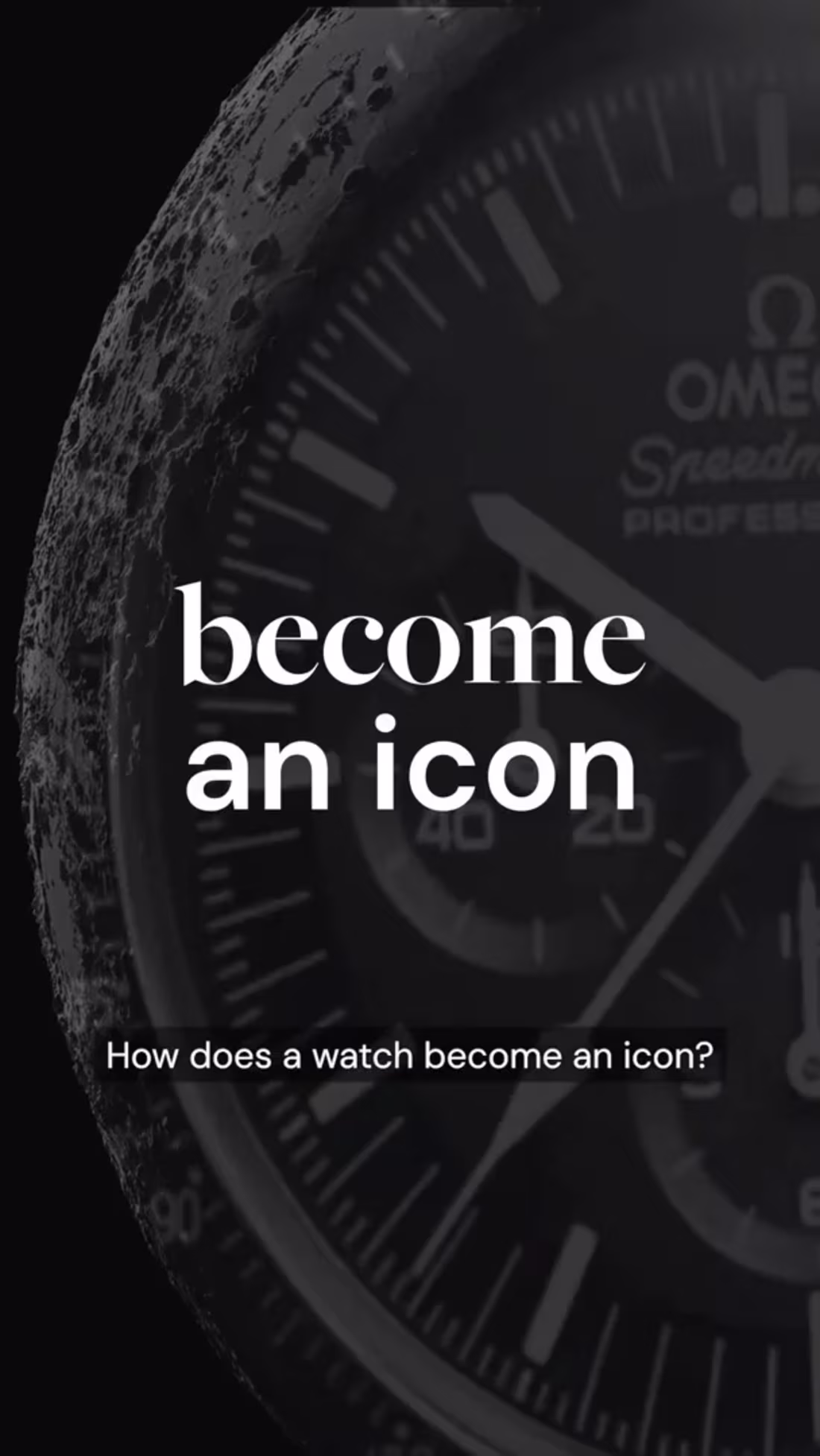 Cover image for Vertical Video Creation for Catawiki