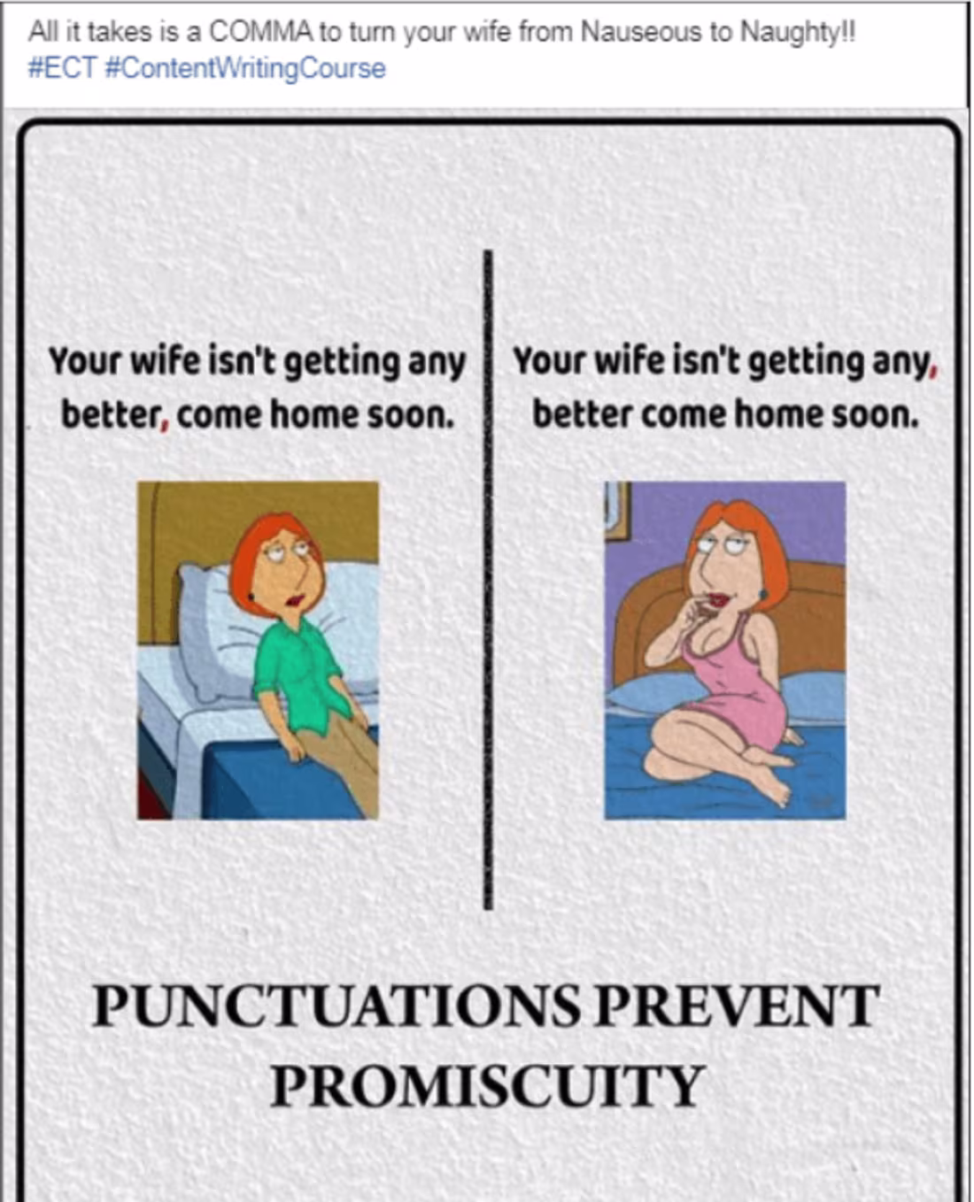 Cover image for Social Media Campaign - Punctuation Blunders