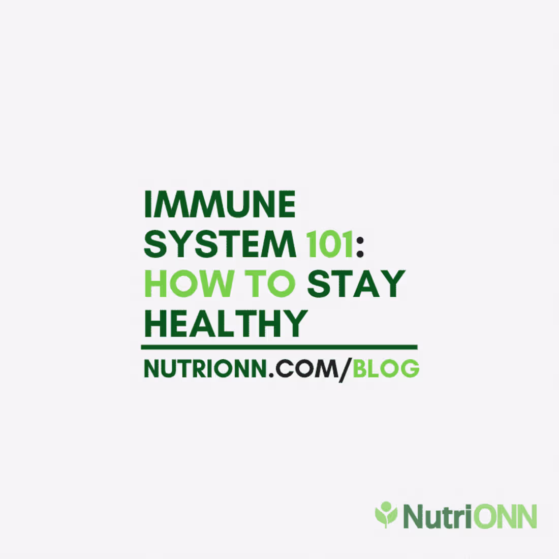 Cover image for Immune System 101: How To Stay Healthy